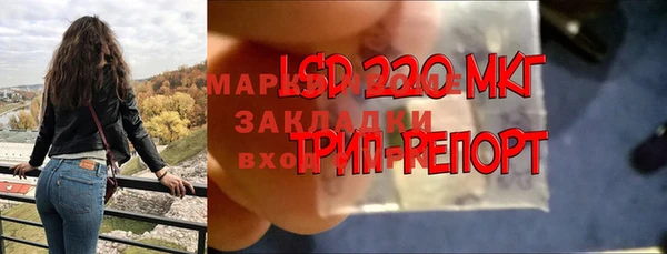 МДПВ Вязьма