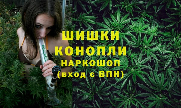 кокс Вяземский