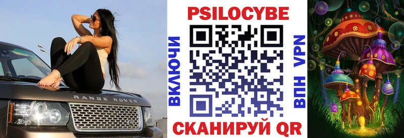 купить наркотик  Камень-на-Оби  Псилоцибиновые грибы мухоморы 